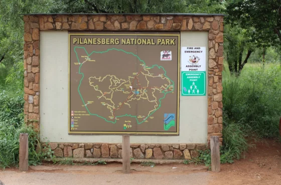 2 Day Private Pilanesberg Guided Tour