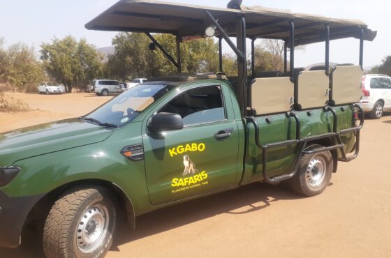 Pilanesberg National Park Full Day Tour – Open Safari Vehicle 