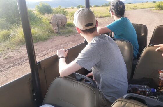 Full-Day Pilanesberg National Park Day Tour -Closed Vehicle