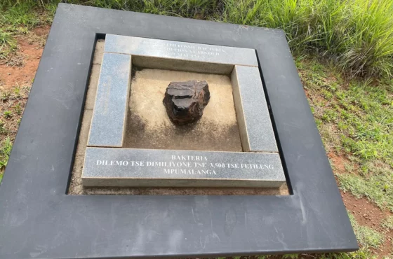 Cradle Of Humankind/Sterkfontein Caves And Maropeng Guided Tour