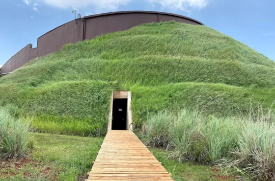 Cradle Of Humankind Sterkfontein Caves And Soweto Tour